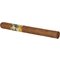 Exquisitos Stick 2