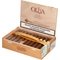 Serie O Robusto Kiste offen 3