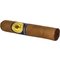 Santa Damiana Classic Short Robusto_Zigarre