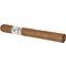 1492 Corona stick 2
