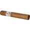 Villiger 1492 Robusto
