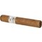 1492   Robusto stick 2