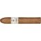 1492 Campana stick