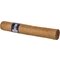 Mustique Blue Robusto_Zigarre