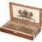ESG 21 Years Robusto box open
