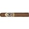 ESG 21 Years Robusto stick