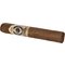 ESG 21 Years Robusto stick 2