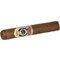 ESG 21 Years Robusto stick 3