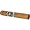 Culture Dominican Reserve Rome (Robusto)_02