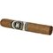 Rome Robusto stick 2
