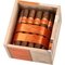 Cain Daytona Robusto 550_Offen