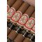 Gran Reserva Hoyo de Monterrey Double Corona Cosecha 2013 Stimmungsbild 2