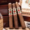 Ashton Symmetry Robusto