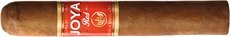 Joya de Nicaragua Joya Red Short Churchill