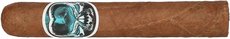 Asylum Schizo Robusto