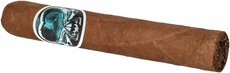 Asylum Schizo Robusto 50 x 5
