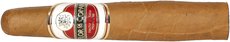 Flor de Copan Gordito (Torbusto)