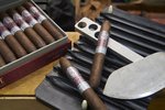 Rocky Patel Fifty-Five (55) Toro