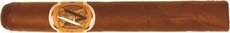 AVO Classic Corona