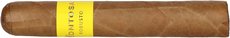 Montosa Amarillo Robusto