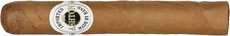 Ashton Classic Majesty
