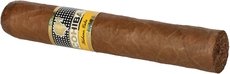 Cohiba Robustos