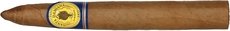 Santa Damiana Torpedo