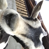 Profilbild Profilbild