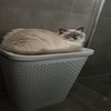 Profile picture of anonym