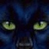Profilbild Profilbild
