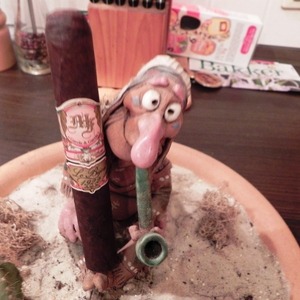 Profilbild