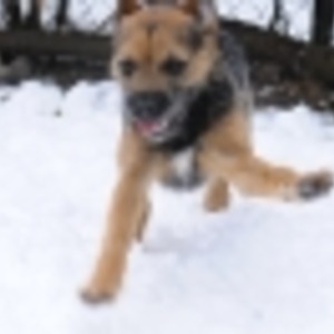 Profilbild
