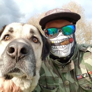 Profilbild