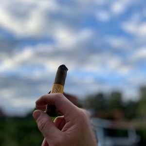 Profilbild