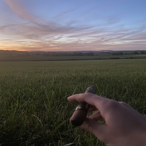 Profilbild