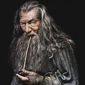 Profilbild