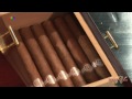 Adorini Humidorfilm