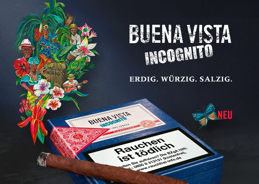 Buena Vista Incognito Packung Zigarillos Neu Erdig Würzig Salzig