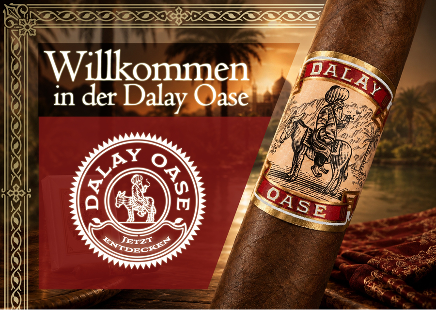 Dalay Oase Petite Robusto