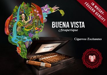 Buena Vista Araperique Zigarren in Whiskeyfässern gelagert
