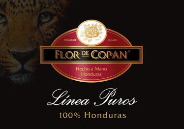 Linea Puros Zigarren von Flor de Copan