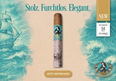 Stolz Furchtlos Elegant 