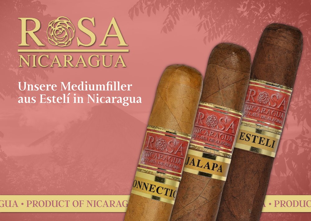 Rosa Nicaragua Jalapa und Connecticut Rosa Nicaragua Zigarren mit neuen Deckblättern aus Jalapa und Connecticut