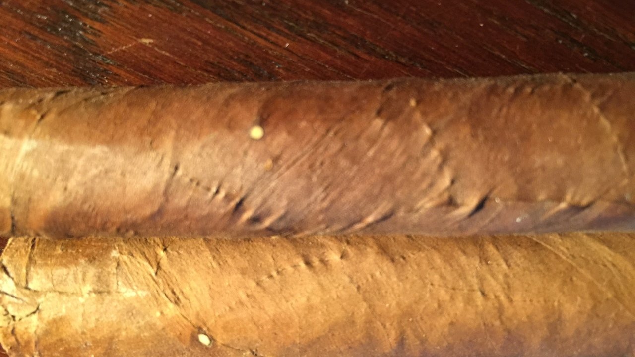 Die Ursachen der verschiedenfarbigen Flecken auf Zigarren-Deckblättern