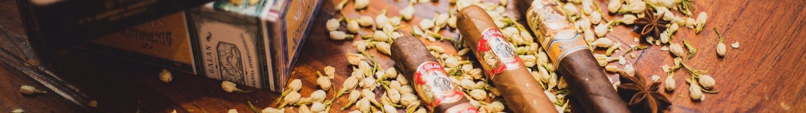El Galan – Zigarren