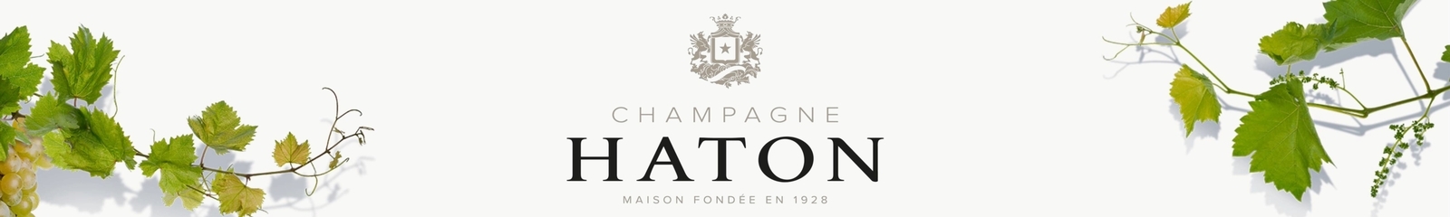Haton – Fortified Wine and Champagne