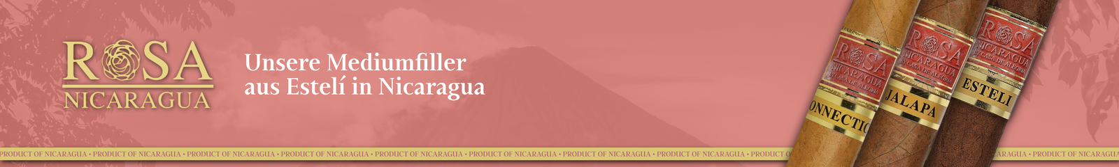 Rosa Nicaragua – Zigarren